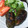 クックK3ARV1☆'s cooksnap of when they made ヘタも種も！簡単丸ごとピーマンの肉詰め.