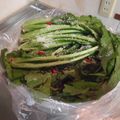 i_yokan's cooksnap of when they made 野沢菜漬け.