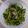 どすえもん♪'s cooksnap of when they made 止まらない美味しさ！無限豆苗！.