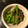 栗丸うさぎ's cooksnap of when they made ししとうのあまから炒め.