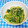 ととろ＆めい's cooksnap of when they made 小松菜の味噌マヨ和え.