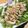 クックXWLLA7☆'s cooksnap of when they made サラダチキンで棒棒鶏風.