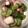 pomponn's cooksnap of when they made たことわかめの酢の物.