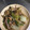 ストレス解消♪ぷーこ's cooksnap of when they made 豚肉と白菜とエリンギのオイスター炒め.