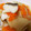とこぷっぷ's cooksnap of when they made 真鱈のアクアパッツァ風.