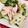 みっくママ's cooksnap of when they made 野菜！鶏肉とブロッコリのあっさり炒め.