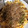 ルルルるか☆'s cooksnap of when they made 簡単！卵とキャベツのおこのみ焼き風.