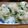 クックZTZ10H☆'s cooksnap of when they made 妊娠、授乳に！サバ缶小松菜おにぎり.
