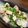 ぱにママ's cooksnap of when they made まぐろのサイコロステーキ.