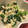 ゆいまーるん's cooksnap of when they made 離乳食完了期　ほうれん草の白和え.