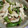 クック7FNN0F☆'s cooksnap of when they made 体ぽかぽか☆ししとうの生姜炒め煮.