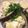 オバケくちびる's cooksnap of when they made リメイク！高野豆腐の玉子とじ.