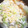 JunAiママ's cooksnap of when they made 白菜と豚肉の旨煮.