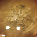 ゆいまーるん's cooksnap of when they made 簡単 サバ缶スープの基本形.