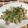 ちゅーこ⭐'s cooksnap of when they made お箸とまらん☆豆苗とまいたけの豚肉炒め.