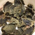 紗重桂's cooksnap of when they made 梅ジュースの実で「干し梅」.