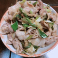 えらちか's cooksnap of when they made すたみなネギ塩豚丼(簡単).