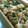 ｺｱﾗ's cooksnap of when they made 鮭のマヨ焼き.