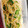 fu☆ko☆shu's cooksnap of when they made もやしとピーマンのニンニク炒め.