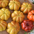 yukari527's cooksnap of when they made ハロウィンにも★簡単かぼちゃパン.