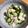 ナップ99's cooksnap of when they made ふわとろ長芋ときゅうりの塩ひじき和え。.