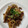 くまやっこ's cooksnap of when they made ご飯が進む♪【牛肉と蓮根の甘辛炒め】.