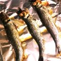 ムーミン☆ママ's cooksnap of when they made うるめいわし（丸干し）をさっぱりと☆.