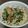 めがねりんご's cooksnap of when they made すりごまでコク旨♪ほうれん草の白和え.
