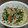 めがねりんご's cooksnap of when they made すりごまでコク旨♪ほうれん草の白和え.