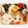 めいめい☆☆☆'s cooksnap of when they made 『ネネちゃんとなぐられうさぎ』キャラ弁♡.