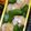 nosso's cooksnap of when they made 激うま！おかかチーズ混ぜご飯☆.