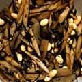 キホママ's cooksnap of when they made 生姜香るひじきと根菜の金平.