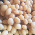せのやん's cooksnap of when they made サッと作れる♪乾燥大豆の戻し方＃大豆水煮.