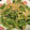 こよみさん's cooksnap of when they made 豆苗とエビと卵の炒め物～☆.