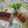 ちかぴょん's cooksnap of when they made ―□◎焼きちくねぎま◎□―.