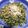 クックDPQXZ6☆'s cooksnap of when they made ご飯がすすむ！ 大根の葉のゴマ油炒め.