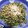 クックDPQXZ6☆'s cooksnap of when they made ご飯がすすむ！ 大根の葉のゴマ油炒め.