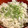 ritukomood's cooksnap of when they made のせるだけ簡単美味しい☆釜揚げしらすご飯.