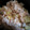 つまちゃん211's cooksnap of when they made さつまいもの炊き込みご飯.