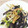 azu211's cooksnap of when they made シンプル♪生きくらげの中華炒め.