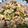 o0frail0o's cooksnap of when they made にんにくの芽炒め.
