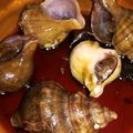 mmiwa's cooksnap of when they made 簡単&楽チン つぶ貝煮付け おつまみ.