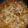 クックQ8TYUC☆'s cooksnap of when they made こってりうまうま～☆スタミナ味噌豚丼.