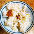 suzumori's cooksnap of when they made 鮭とばごはん.