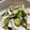クリーピングタイム☆'s cooksnap of when they made 簡単極旨！蕪と胡瓜の【ダブル旨塩浅漬け】.