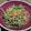 クックHI9KUQ☆'s cooksnap of when they made 豚肉と水菜のゴマしょうが焼き.