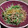 クックHI9KUQ☆'s cooksnap of when they made 豚肉と水菜のゴマしょうが焼き.