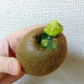 creeeampan's cooksnap of when they made 簡単気持ちいい！キウイの芯を取る方法.