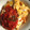 ミドリ５５'s cooksnap of when they made 手づくりトマトソース.
