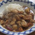 きらり流れ星's cooksnap of when they made 市販のルーで☆だし香る和風カレー.